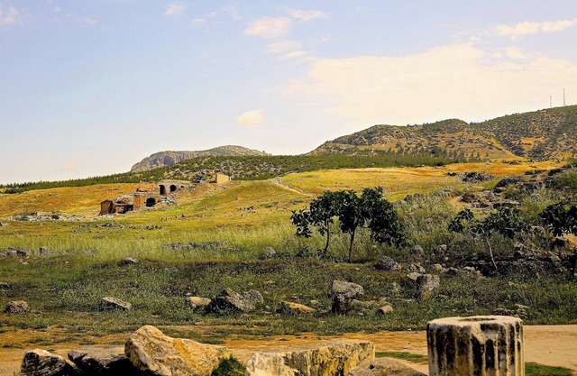 Alpine bliss in Issaquah