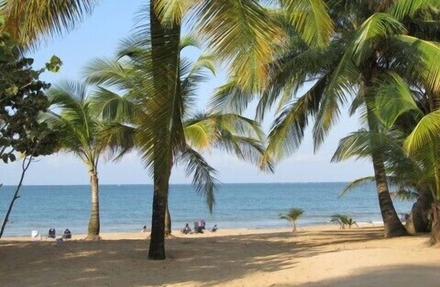 Amazing Beachfront/Garden Condo with Ocean View/Beach Access