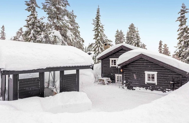 Amazing home in Trysil with house a mountain view