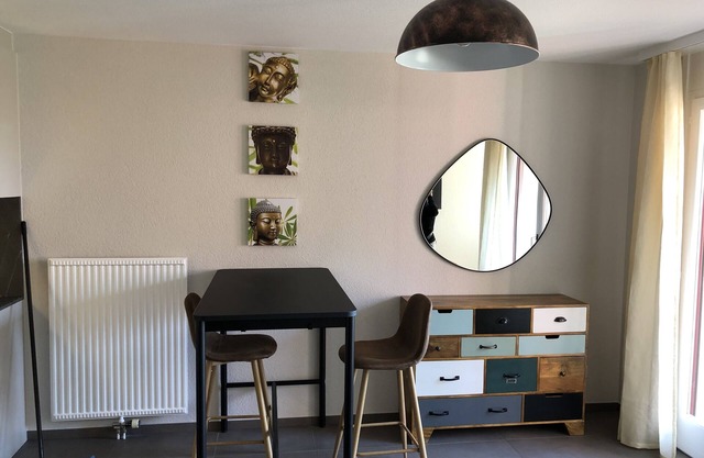 Amazing Studio In Lausanne Close To Epfl and Unil
