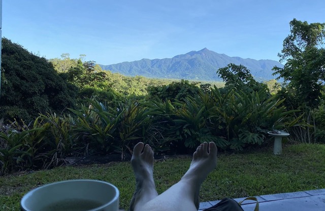 Amazing views - Flame Trees over the Daintree