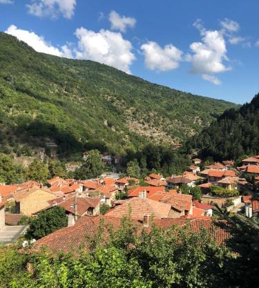 Ambrozia Spa and Relax family house