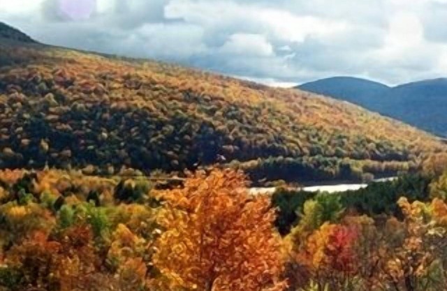 Andes Cabin Retreat-Spectacular View Adjoining ~NYC~ Reservoir, short/long term