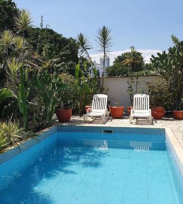 Andorinhas "Mini casa de hóspede"