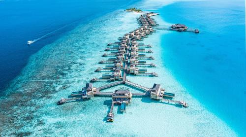 Angsana Velavaru - all room type FREE Seaplane for 2 people for Minimum 7 Nights stay & 4-6 Nights get 20 percent off, only for BOOK and STAY period between 12 Oct - 23 Dec 2025