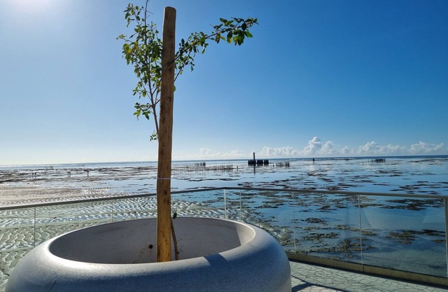 Apê Confortável no melhor da Ponta Verde