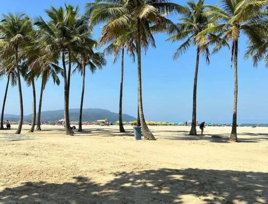 Ap Santos Gonzaga Frente Mar