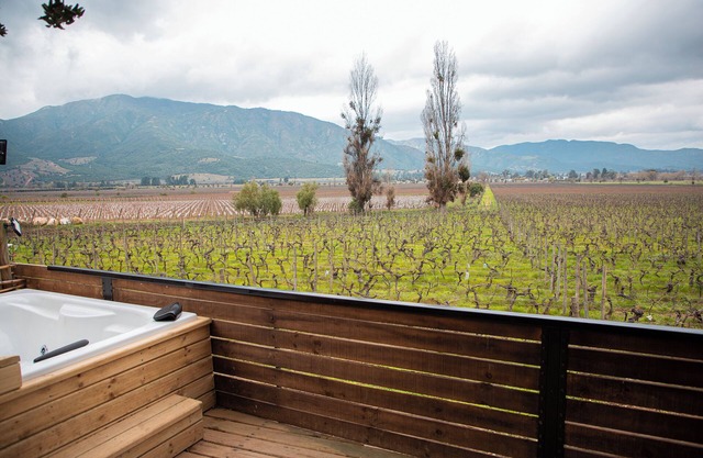 Apalta Lofts, enjoy the vineyards in front of the vineyards