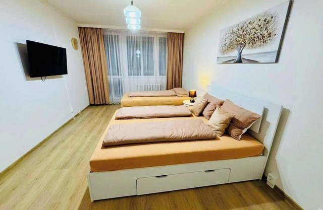 Apart for rent near center