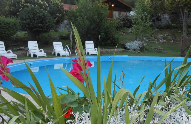 Apart Suites & Cabañas Duendes del Pungo