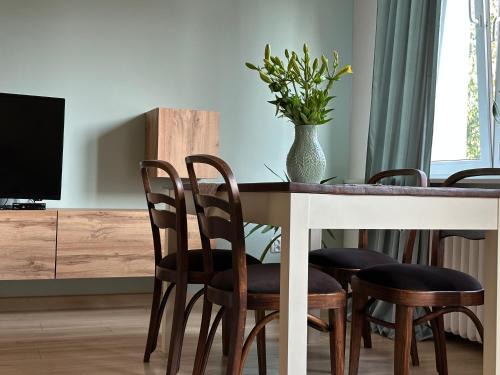 Apartament Centrum