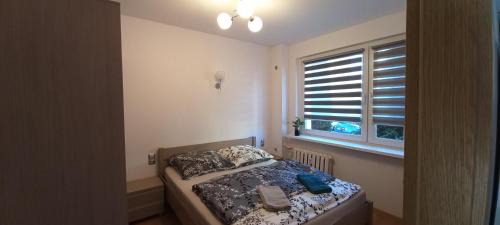 Apartament JUKI, obok Katowice Wynajem na doby, krótkoterminowy, 2 pokoje balkon, 50m2,- po kapitalnym remoncie 2-ga sypialnia jest częścią salonu blisko Centrum Leczenia Oparzeń 2,5 km
