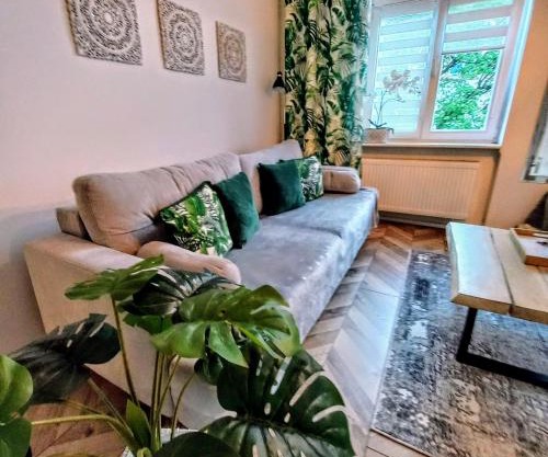 Apartament Mickiewicz - Center