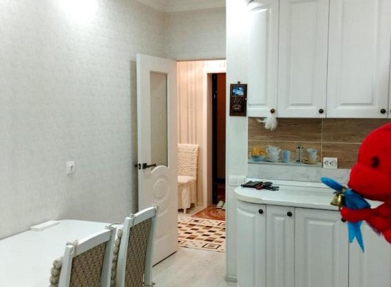 apartament
