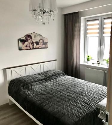 Apartament na Skrzypka