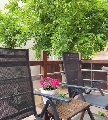 Apartament Pod Orzechem