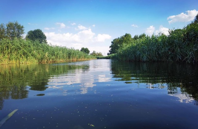 Apartament rustic Izvoru Cailor