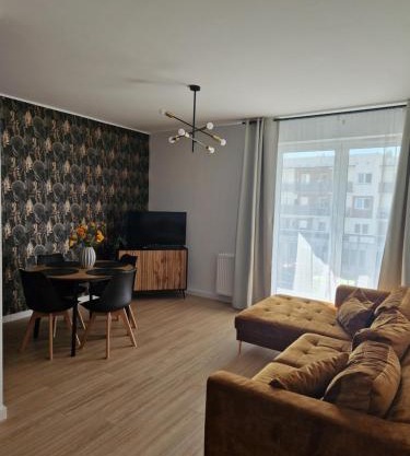 Apartament Staromiejski Rapackiego 45