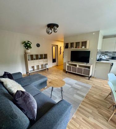 Apartamentai Turaida