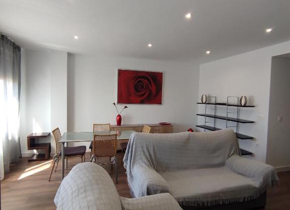 APARTAMENTO ANCHA CENTRO