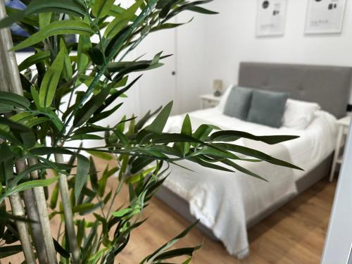 Apartamentos Alimarc Urban