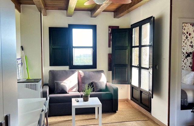 Apartamentos Spa Casco Histórico de Isla
