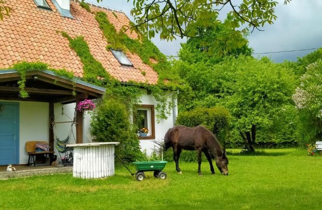 Apartamenty na wsi Horses&Relax