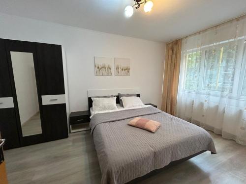 Aparthotel Brasov Neptun