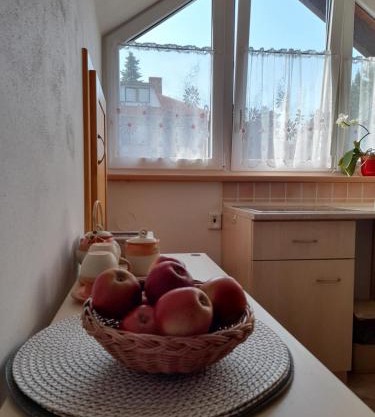 Apartmán u potoka