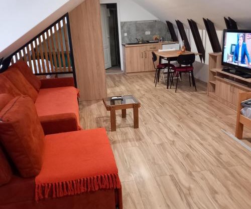 apartman 1 porodicni uzice
