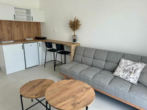 Apartmani Asovic