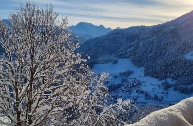 Apartment 5 ppl, balcony with a mountain view, close from ski slopes