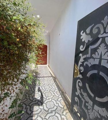 Apartment achraf