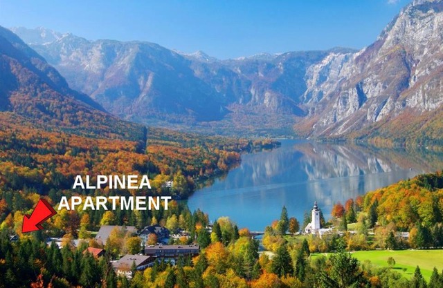 Apartment Alpinea