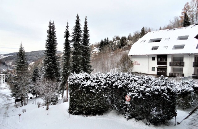 Apartment 'Bergblick' with Balcony and Wi-Fi