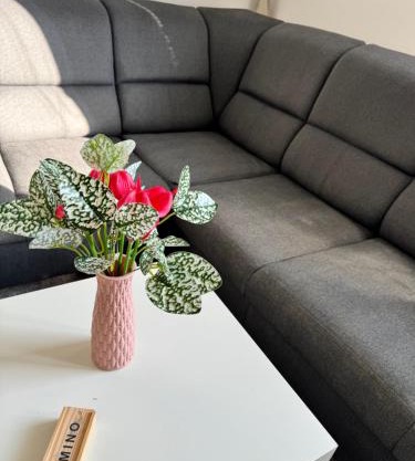 Apartment C25