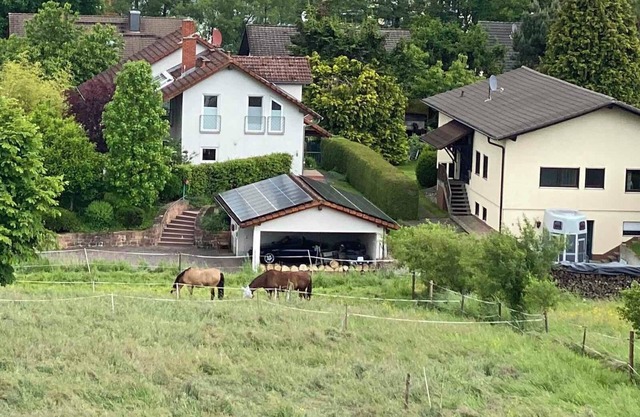Apartment 'Ferienwohnung Auf Der Höhe' with Mountain View and Wi-Fi