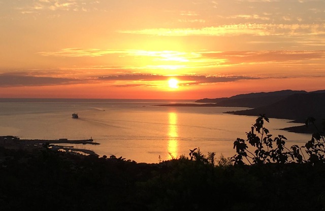 apartment/ flat - PROPRIANO