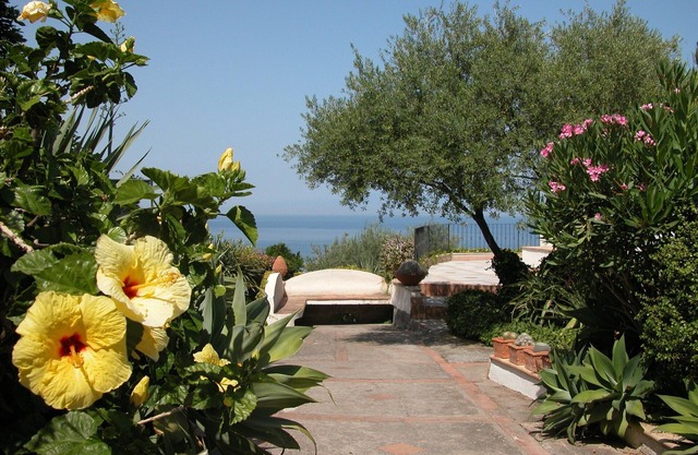 Apartment for 2-3 people in the garden with swimming pool, WiFi and parking