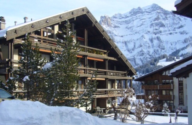 Apartment in Adelboden, situated in the village with beautiful views
