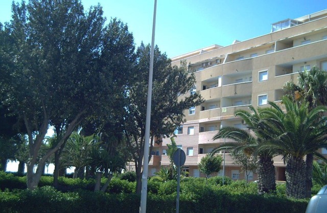 Apartment in beachfront