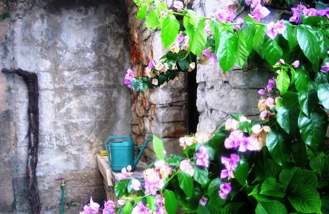 Apartment in garden 400m from the sea