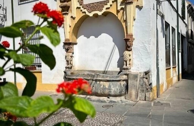 Apartment in the Center of Córdoba by beBalmy