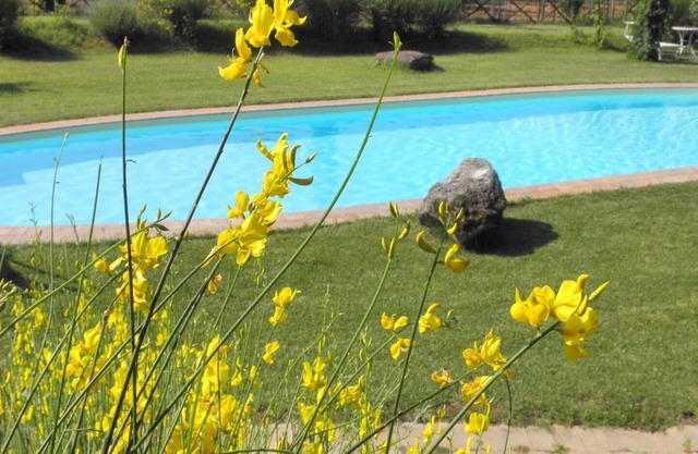 Apartment for 4 persons + 2 children approx. 90 qm in Monteleone d'Orvieto, Lake Trasimeno