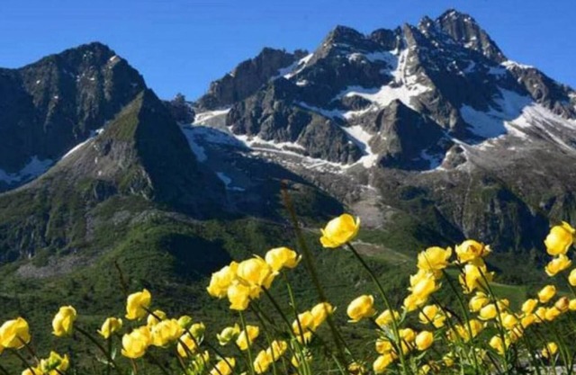 Apartment "Residence Adamello Bilocale" with Mountain View & Balcony