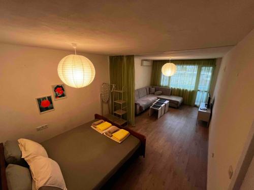 Apartment Rosa