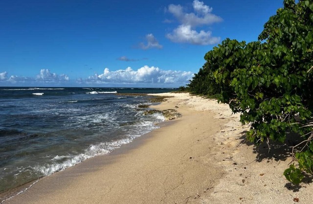 Apartment Seaside sea view and direct beach access