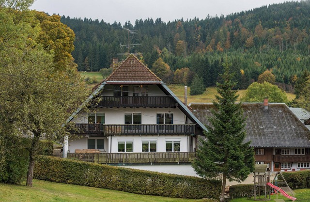 Apartment 'Steinebrunner' with Mountain View and Balcony