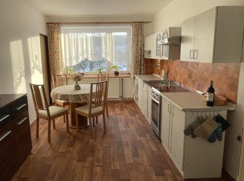Apartment Světlá