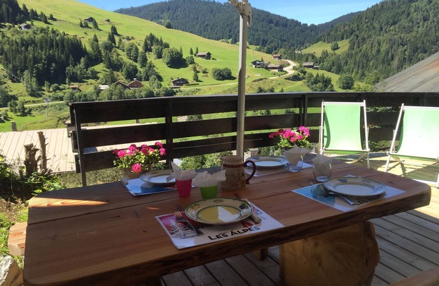 APARTMENT TERRACE AT THE FOOT OF THE SLOPES DEPARTURE AND RETURN BY SKI IF SUFFICIENT SNOW